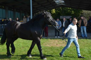 DSC_1451-5f7ed41db918a