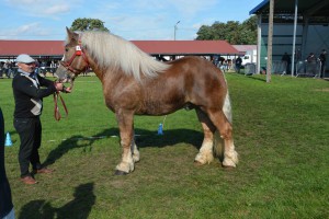 DSC_1472-5f7ed433f0db4