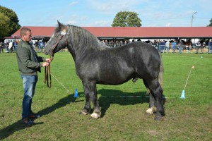 DSC_1478-5f7ed43d72b19