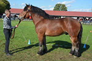 DSC_1501-5f7ed44716885