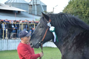 DSC_1568-5f7ed480c9470