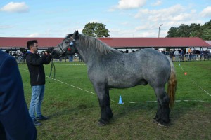 DSC_1583-5f7ed48a4b57f