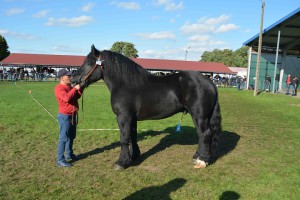 DSC_1607-5f7ed4a7c99ba