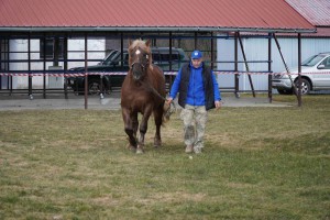 DSC00905-605af5feb77d5