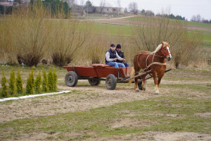 DSC01094-66015bdb56b15