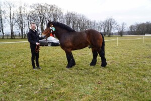 DSC05703-641c0759d28fa