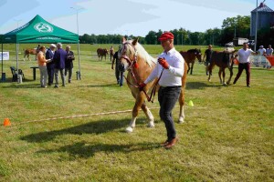 DSC06453-647da9ea1e693