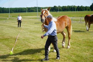 DSC06457-647daa00c88a3