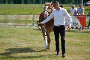 DSC06458-647daa00c8e90