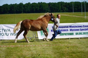 DSC06467-647daa50698e6