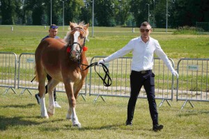 DSC06501-647daa38824b9