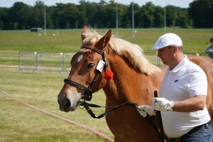 DSC06524-647dab78cd673