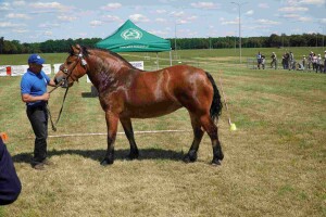 DSC06734-647dacde6c580