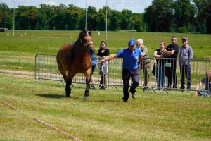 DSC06742-647dad2a99588