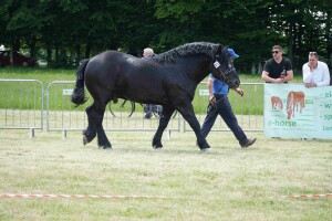 DSC07037-647daedee2aa6