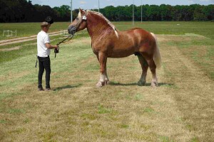 DSC07039-647daede679f1