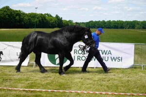 DSC07043-647daedecacae