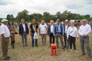 DSC07510-64be3ac552399