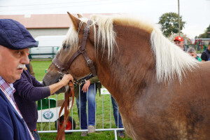 DSC09373-651d5339c8f96