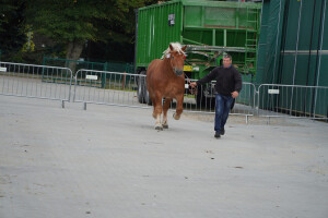 DSC09379-651d532921d35