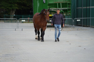 DSC09383-651d535935bd9