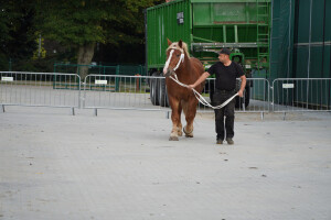 DSC09387-651d5358af9a4