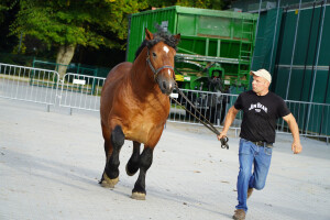 DSC09419-651d53937fb32