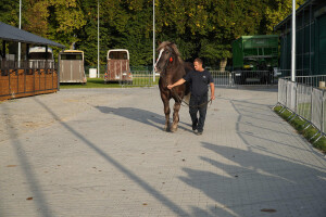 DSC09430-651d53d0cc920