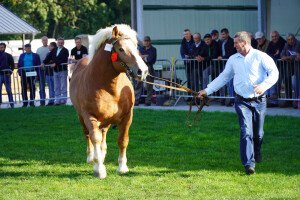 DSC09493-651d5464e070c