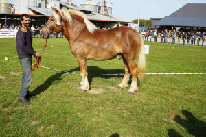 DSC09571-651d56b97e97d