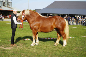 DSC09618-651d56e3ca77c