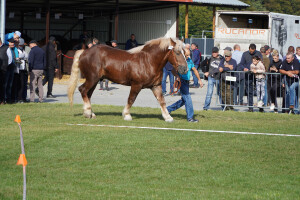 DSC09621-651d56e2b0adf