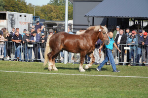 DSC09623-651d56e4b0f00