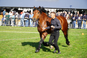 DSC09634-651d572835599