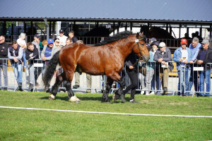 DSC09638-651d57281f22e