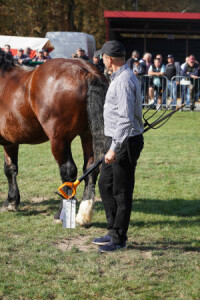 DSC09646-651d572836ed6