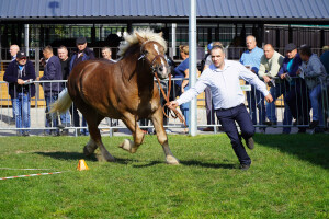 DSC09677-651d577fafcb6