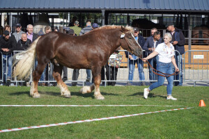 DSC09695-651d579a99251