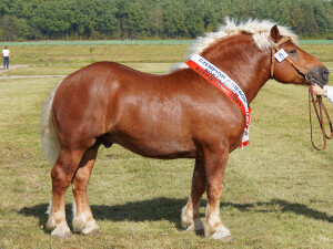 DSC09707-651d57c06845f