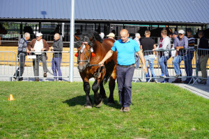 DSC09760-651d57fa1d8fc