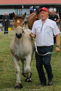 IMG_0001-5d19a078b2001