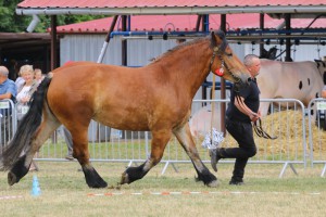 IMG_0012-5d19a078ddcdd