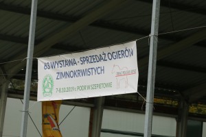 IMG_0015-5d9eeb2282e3b