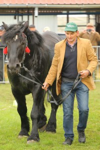 IMG_0017-5d9eeb22c770a