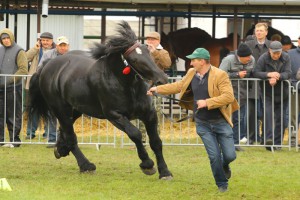 IMG_0021-5d9eeb22bb976