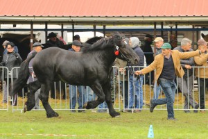 IMG_0023-5d9eeb22c7b23