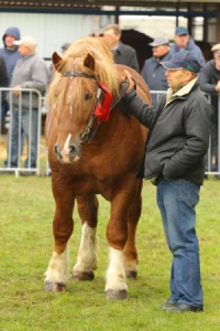 IMG_0033-5d9eeb22cd475