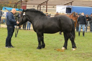 IMG_0034-5d9eeb22ece4e