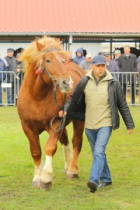 IMG_0037-5d9eeb3ae3b68