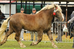 IMG_0103-5d9eeb45af6b6